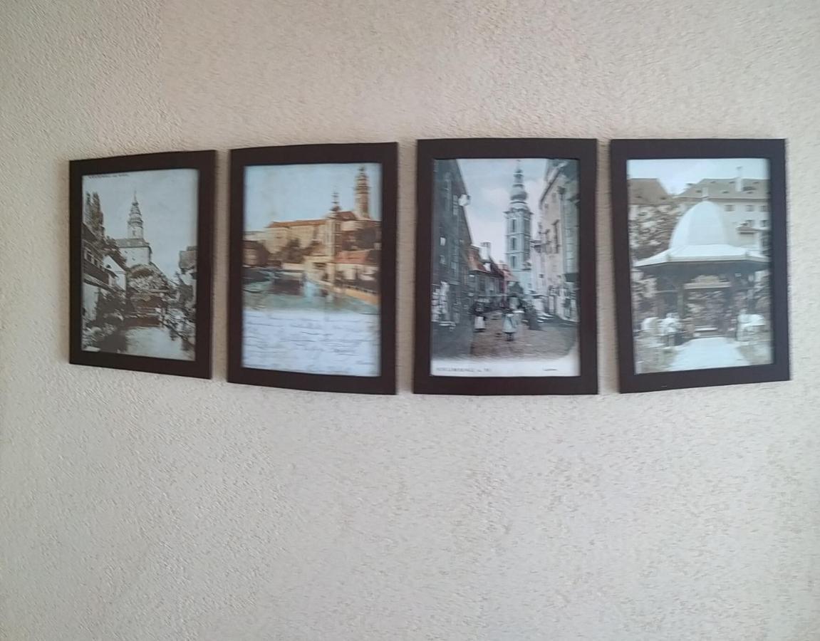 Ubytovani S Vyhlidkou Český Krumlov 外观 照片